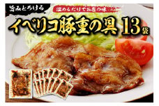 【かんたん本格調理】旨みがとろけるイベリコ豚重の具 105g × 13 袋 セット 山形県 東根市 日東ベスト hi010-007