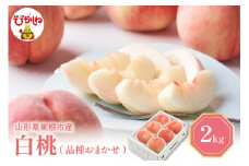 【2025年産 先行予約】 白桃 (品種おまかせ) 2kg 東根農産センター提供 山形県 東根市 hi027-149-1