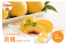 【2025年産 先行予約】 黄桃 (品種おまかせ) 2kg 東根農産センター提供 山形県 東根市 hi027-152-1