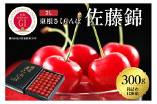 2025年GI東根さくらんぼ「佐藤錦」300g化粧箱詰め(2L) 東根農産センター提供 山形県 東根市 hi027-172-1