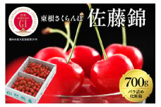 2025年GI東根さくらんぼ「佐藤錦」700gバラ詰め(350g×2ﾊﾟｯｸ) 東根農産センター提供 山形県 東根市 hi027-170-1