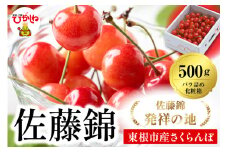 2025年 山形県東根市産さくらんぼ「佐藤錦」500gバラ詰め 東根農産センター提供 山形県 東根市 hi027-171-1