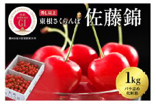 2025年 GI東根さくらんぼ「佐藤錦」1kgバラ詰め(500g×2ﾊﾟｯｸ) 東根農産センター提供 山形県 東根市 hi027-169-1