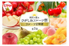 【2025年先行予約】晴天の恵み！ひがしねフルーツ祭定期便！全7回 (2025.6月上旬からスタート) 山形県 東根市 hi026-004-1