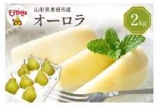 【令和7年産 先行予約】西洋梨オーロラ2kg 秀品　化粧箱入り　山形県 東根市 東根農産センター提供 hi027-187-1