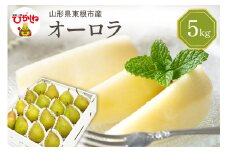 【令和7年産 先行予約】西洋梨オーロラ5kg 秀品　化粧箱入り　山形県 東根市 東根農産センター提供 hi027-186-1