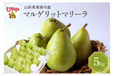 【令和7年産 先行予約】西洋梨マルゲリットマリーラ5kg　秀品　化粧箱入り 山形県 東根市 東根農産センター提供 hi027-188-1