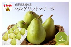 【令和7年産 先行予約】西洋梨マルゲリットマリーラ2kg　秀品　化粧箱入り 山形県 東根市 東根農産センター提供 hi027-189-1