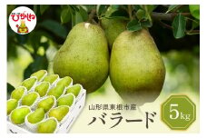 【令和7年産 先行予約】西洋梨バラード5kg　秀品　化粧箱入り 山形県 東根市 東根農産センター提供 hi027-190-1
