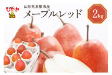【令和7年産 先行予約】西洋梨メープルレッド2kg　秀品　化粧箱入り 山形県 東根市 東根農産センター提供 hi027-193-1