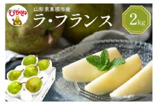 【令和7年産 先行予約】西洋梨ラフランス2kg　秀品　化粧箱入り 山形県 東根市 東根農産センター提供 hi027-196-1