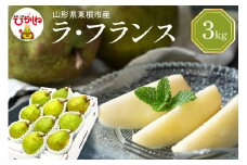 【令和7年産 先行予約】西洋梨ラフランス3kg　秀品　化粧箱入り 山形県 東根市 東根農産センター提供 hi027-195-1