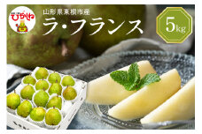 【令和7年産 先行予約】西洋梨ラフランス5kg　秀品　化粧箱入り 山形県 東根市 東根農産センター提供 hi027-194-1