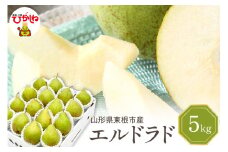 【令和7年産 先行予約】西洋梨エルドラド5kg　秀品　化粧箱入り 山形県 東根市 東根農産センター提供 hi027-197-1