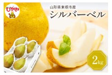 【令和7年産 先行予約】西洋梨シルバーベル2kg　秀品　化粧箱入り 山形県 東根市 東根農産センター提供 hi027-200-1