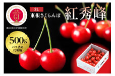 2025年GI東根さくらんぼ 紅秀峰 500gバラ詰め(2L) 東根農産センター提供　hi027-176-1