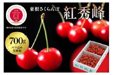 2025年GI東根さくらんぼ「紅秀峰」700gバラ詰め(350g×2ﾊﾟｯｸ) 東根農産センター提供 hi027-175-1