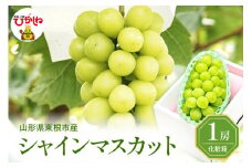 2025年ぶどう「シャインマスカット」1房(約600g) 東根農産センター提供 山形県 東根市 hi027-180-1