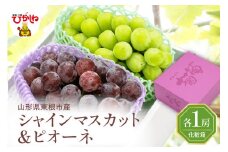 2025年ぶどう「シャインマスカット＆ピオーネ 」各1房（計2房 約1.2kg） 東根農産センター提供 山形県 東根市 hi027-183-1