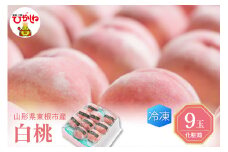 【8月以降発送】【瞬間冷凍】東根市産 白桃 180g×9玉入り 化粧箱 山形県 東根市 東根農産センター提供　hi004-hi027-055r