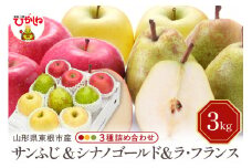 【令和7年産 先行予約】サンふじ&シナノゴールド＆ラフランス 詰め合わせ 3kg 東根市 山形県 東根農産センター提供 hi027-213-1