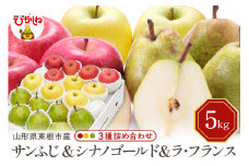 【令和7年産 先行予約】サンふじ&シナノゴールド＆ラフランス 詰め合わせ 5kg 東根市 山形県 東根農産センター提供 hi027-212-1