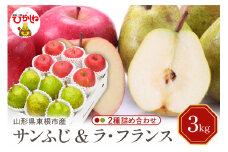 【令和7年産 先行予約】サンふじ&ラフランス 詰め合わせ 3kg(秀品) 東根市 山形県 東根農産センター提供 hi027-211-1