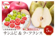 【令和7年産 先行予約】サンふじ&ラフランス 詰め合わせ 5kg(秀品) 東根市 山形県 東根農産センター提供 hi027-210-1