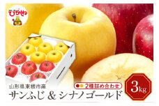 【令和7年産 先行予約】りんご サンふじ&シナノゴールド 詰め合わせ 3kg(秀品) 東根市 山形県 東根農産センター提供 hi027-209-1