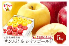 【令和7年産 先行予約】りんご サンふじ&シナノゴールド 詰め合わせ 5kg(秀品) 東根市 山形県 東根農産センター提供 hi027-208-1