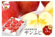 【令和7年産 先行予約】りんご サンふじ 3kg(秀品) 東根市 山形県 東根農産センター提供 hi027-207-1