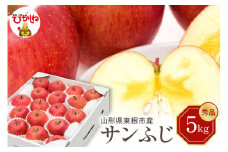 【令和7年産 先行予約】りんご サンふじ 5kg(秀品) 東根市 山形県 東根農産センター提供 hi027-206-1