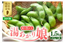 【2025年 先行予約】 枝豆「湯あがり娘」1.5kg JA提供 山形県 東根市　hi003-129-1