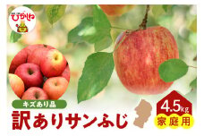 【令和7年産 先行予約】※訳あり※ サンふじ満杯詰(約4.5kg) 東根市 山形県 東根農産センター提供 hi027-204-1