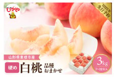 【2025年 先行予約】かための白桃 約3kg (品種おまかせ7～12玉入) 山形県 東根市 hi026-009-1