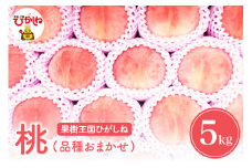 【2025年産】もも「品種おまかせ」5kg 滝口観光果樹園提供 山形県 東根市　hi030-041-1