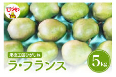 【山形県東根市産】2025年産 洋梨「ラ・フランス」5kg 滝口観光果樹園提供 山形県 東根市　hi030-039-1