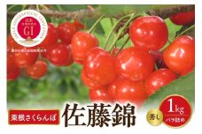 【先行予約】2026年産 GI東根さくらんぼ佐藤錦 秀L 1kgバラ詰め(500g×2P) 株式会社晴天畑提供 hi026-049