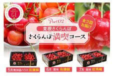 【2025年産 先行予約】 GI「東根さくらんぼ」 さくらんぼ 満喫 コース Part2 (2025年5月下旬～6月上旬からスタート) 山形県 東根市 hi001-034-1