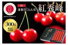 2025年 GI東根さくらんぼ 紅秀峰 300g鏡詰め(2L) 東根農産センター提供 hi027-177-1