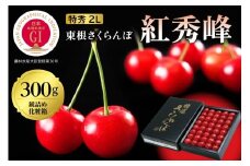 2026年 GI東根さくらんぼ「紅秀峰」300g 鏡詰め 特秀 2Lサイズ 東根農産センター提供 山形県 東根市 hi027-230