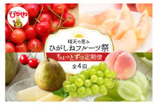 【2025年産先行予約】ひがしねフルーツ祭 ちょっとずつ定期便！全4回（2025年6月からスタート）山形県 東根市 hi026-003-1