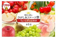 【2026年産先行予約】ひがしねフルーツ祭 ちょっとずつ定期便！全6回（2026年6月からスタート）山形県 東根市 hi026-052