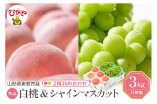 【2025年 先行予約】 東根市産 白桃【品種おまかせ】秀品＆シャインマスカット詰め合わせ3kg 山形県 東根市 　hi027-164-1