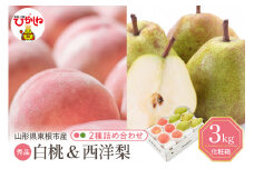 2025年 東根市産 白桃【品種おまかせ】秀品＆西洋梨詰め合わせ3kg 山形県 東根市 　hi027-167-1