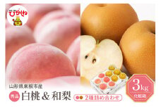 2025年 東根市産 白桃【品種おまかせ】秀品＆和梨詰め合わせ3kg 山形県 東根市 　hi027-166-1