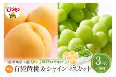 【2025年 先行予約】 東根市産 有袋黄桃【品種おまかせ】秀品＆シャインマスカット詰め合わせ3kg 山形県 東根市 　hi027-165-1