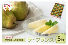 【2025年産 先行予約】 洋なし「ラ・フランス」5kg 山形県 東根市 JA提供 hi003-134-1