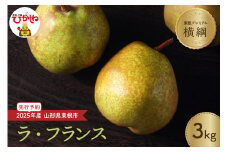 2025年産洋なし「【横綱】ラ・フランス」3kg 糖度14度以上 光センサー選別 JA提供 山形県 東根市 hi003-135-1
