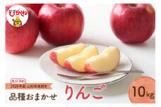【2025年産 先行予約】 りんご(品種おまかせ) 10kg JA提供 山形県 東根市　hi003-141-1